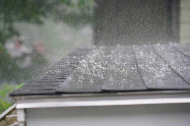Best Steel Roofing  in Salisbury, NY